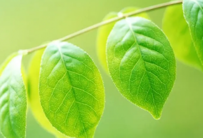 ​别说造句,用别说怎么造句