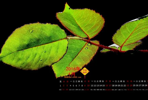 1689133449852590.png image.png