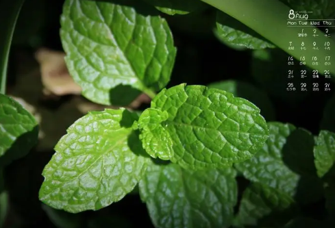 1689134282372809.png image.png