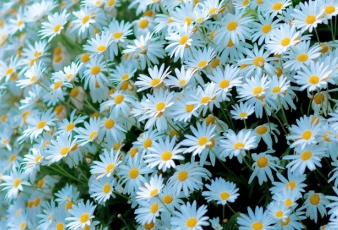 1689134615997989.png image.png