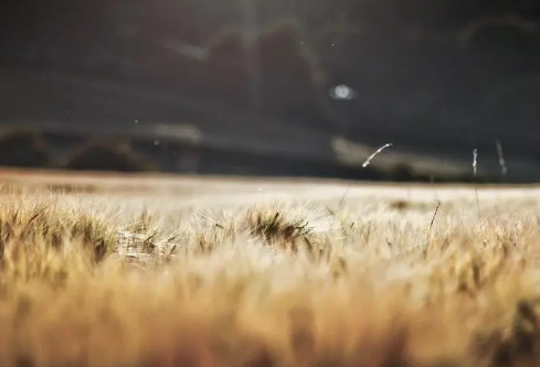 1689134781912372.png image.png