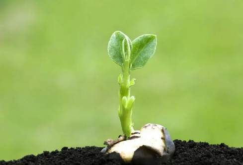 1689135281779027.png image.png