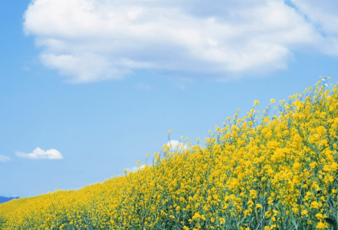 1689135448536996.png image.png