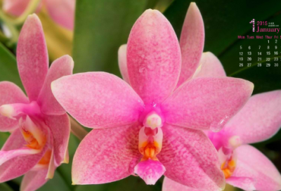 ​失望造句,用失望怎么造句