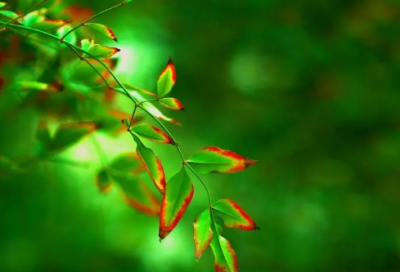 ​难以忘怀造句,用难以忘怀怎么造句