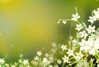 ​乌黑造句,用乌黑怎么造句