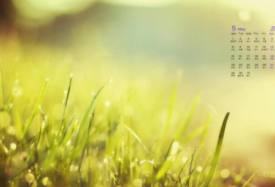 ​破落户造句,用破落户怎么造句