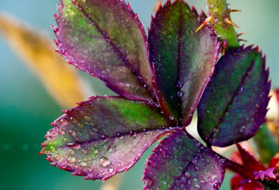 ​制造造句,用制造怎么造句