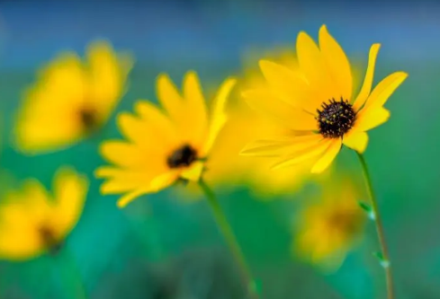 1689138779477193.png image.png