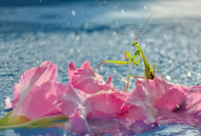 ​危造句,用危怎么造句