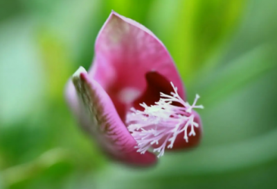 ​不二门造句,用不二门怎么造句