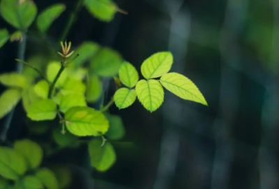 ​性格造句,用性格怎么造句