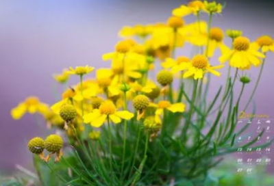 ​超常造句,用超常怎么造句