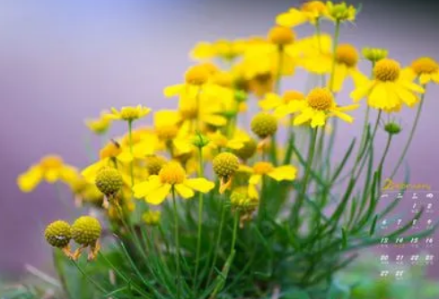 1689142610825066.png image.png