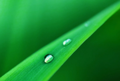 ​春华秋实造句,用春华秋实怎么造句