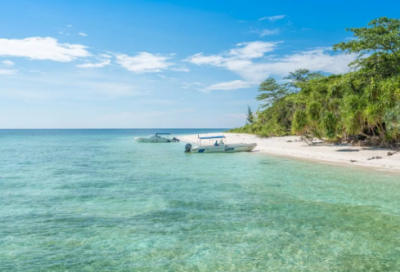 ​妙不可言造句,用妙不可言怎么造句