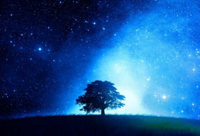 ​继续造句,用继续怎么造句