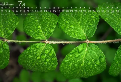 ​烁造句,用烁怎么造句