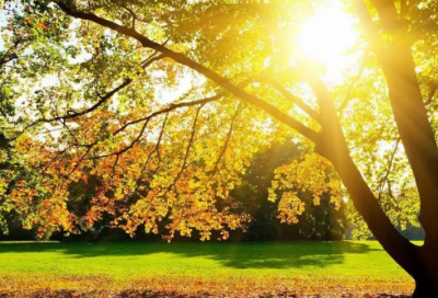 ​挣钱造句,用挣钱怎么造句