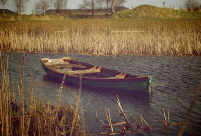 ​两眼一抹黑造句,用两眼一抹黑怎么造句