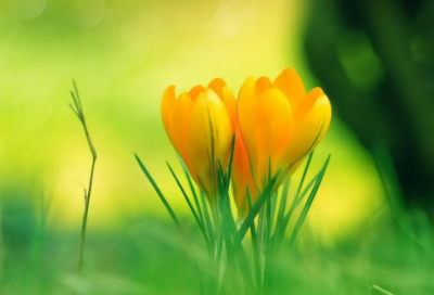 ​勾心斗角造句,用勾心斗角怎么造句