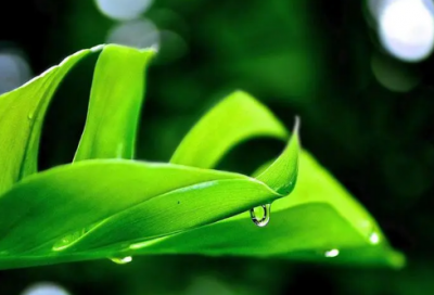 ​和造句,用和怎么造句