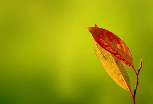 1689149448994229.png image.png