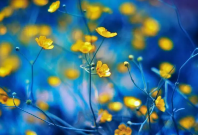 ​班后造句,用班后怎么造句