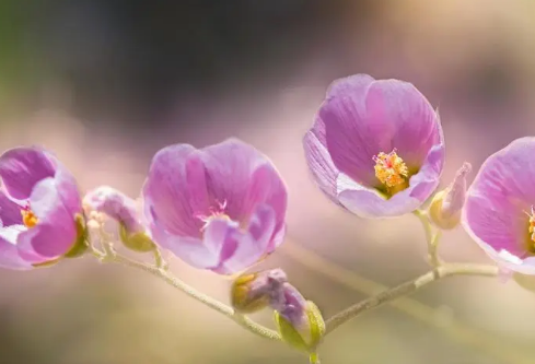 1689151614389276.png image.png