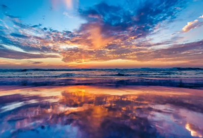 ​决定造句,用决定怎么造句