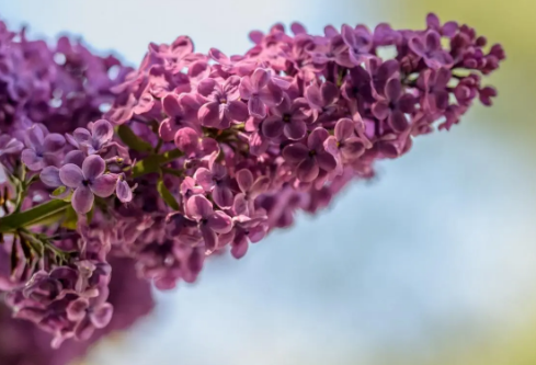 1689152613535022.png image.png