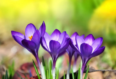 1689153280388652.png image.png