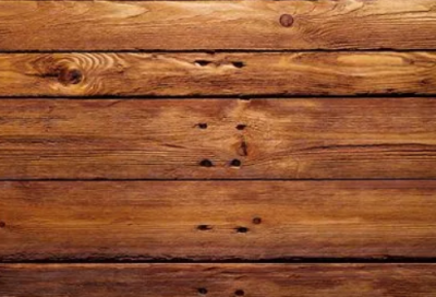 ​种类造句,用种类怎么造句