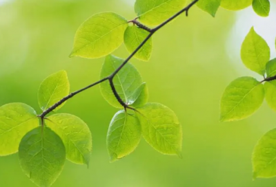 ​即使是造句,用即使是怎么造句