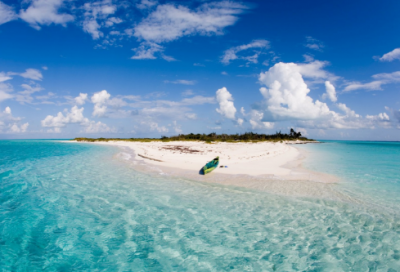 ​果然的反义词