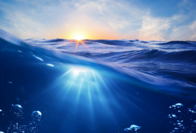 ​绚烂的近义词