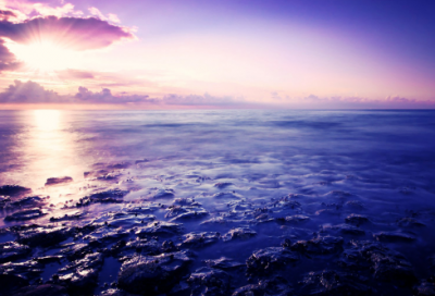 ​许多的近义词