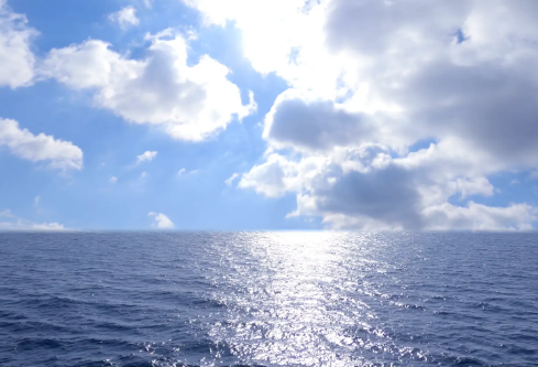 1689592035974284.png image.png