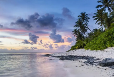 ​特别的近义词