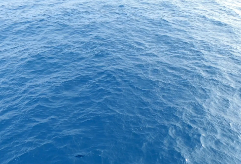 1689592701350287.png image.png