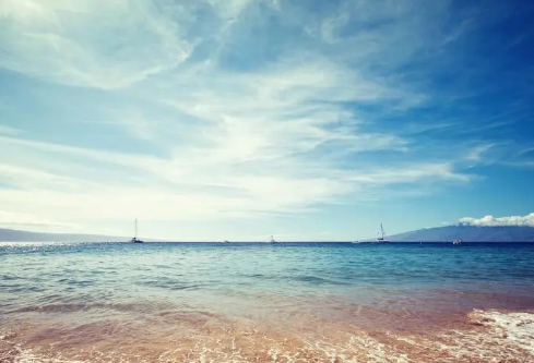 1689594033239738.png image.png