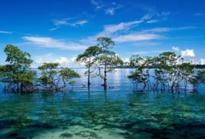 ​终于的近义词