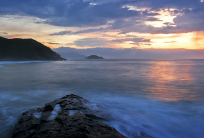 ​灰心的反义词是什么