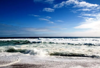 ​似乎的反义词