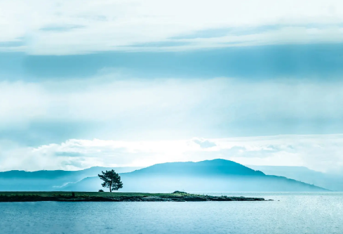 1689595366959353.png image.png