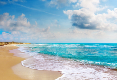 ​罕见的近义词