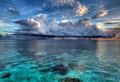 ​忘记的反义词