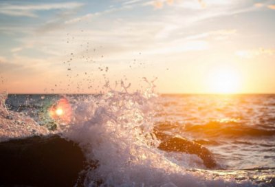 ​熟视无睹的反义词