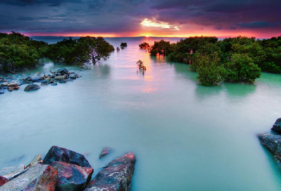 ​清楚的近义词