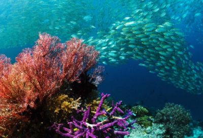 ​形容时间过得很快的词语